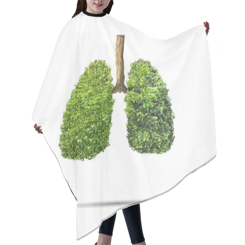 Personality  Green Leaves Shaped In Human Lungs. Conceptual Image Hair Cutting Cape