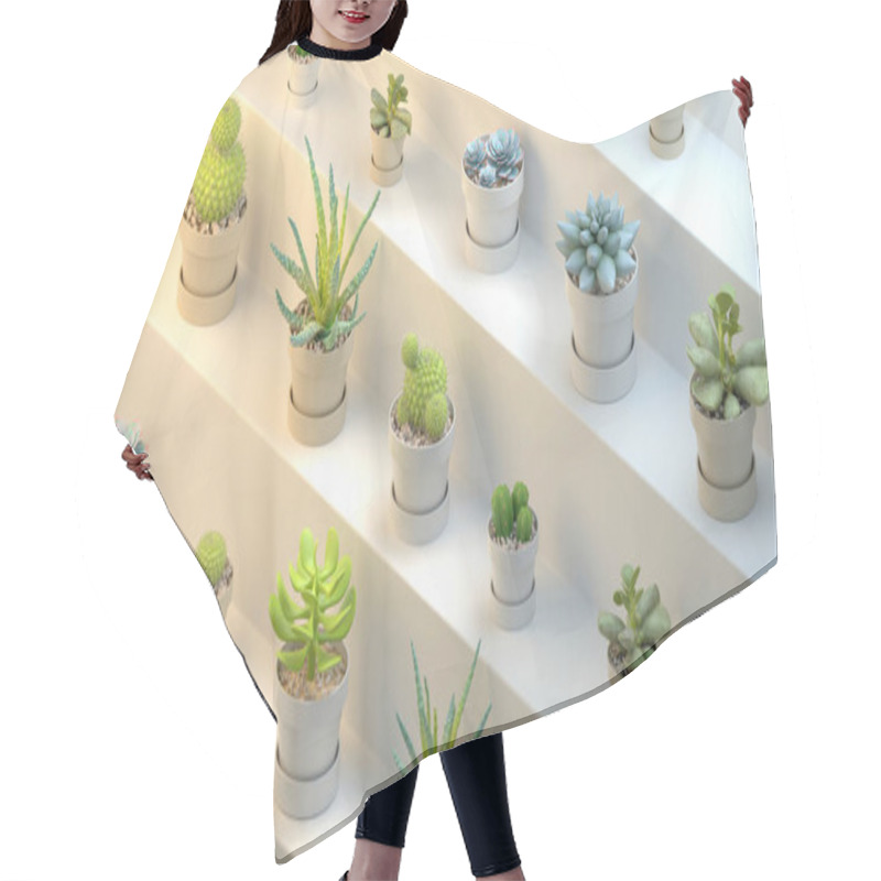 Personality  3d Rendering Of Many Realistic Cactuses With Pots On White Abstract Shelf Or Stairs. Isometric Angle, Side View. Hair Cutting Cape