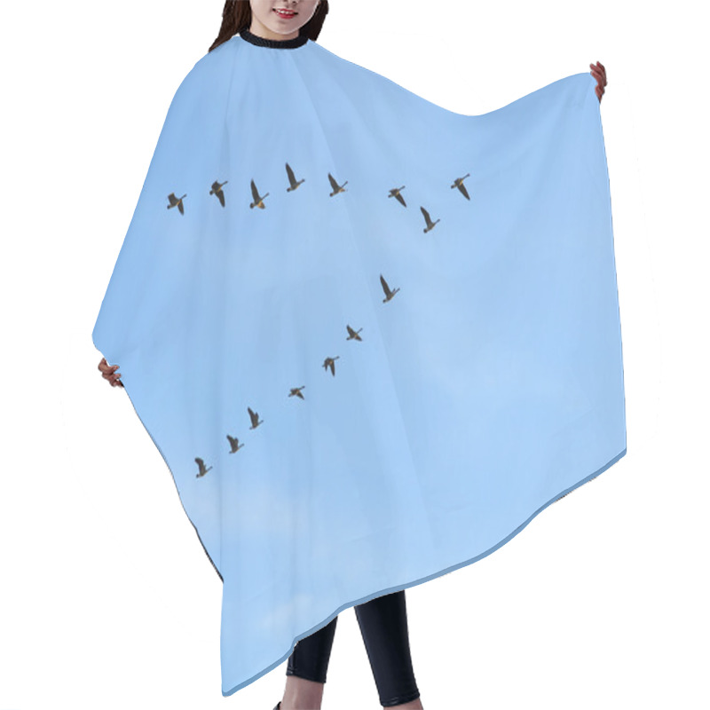 Personality  Canadian Geese In V Formation Hair Cutting Cape