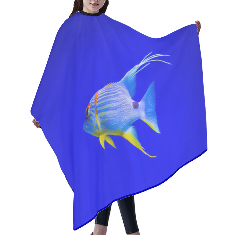 Personality  Amazing Tropical Fish Hair Cutting Cape