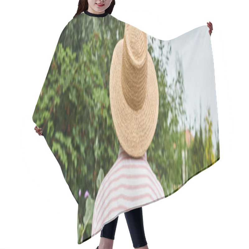 Personality  Back View Of Mature Woman In Straw Hat Posing In Her Lively Garden While Working There, Banner Hair Cutting Cape