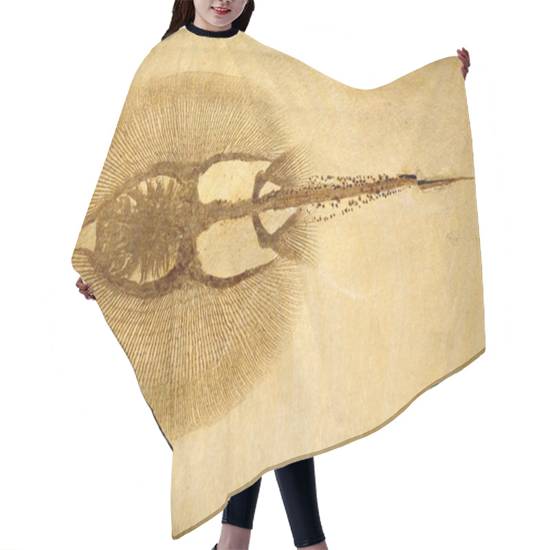 Personality  Fossilized Stingray Hair Cutting Cape