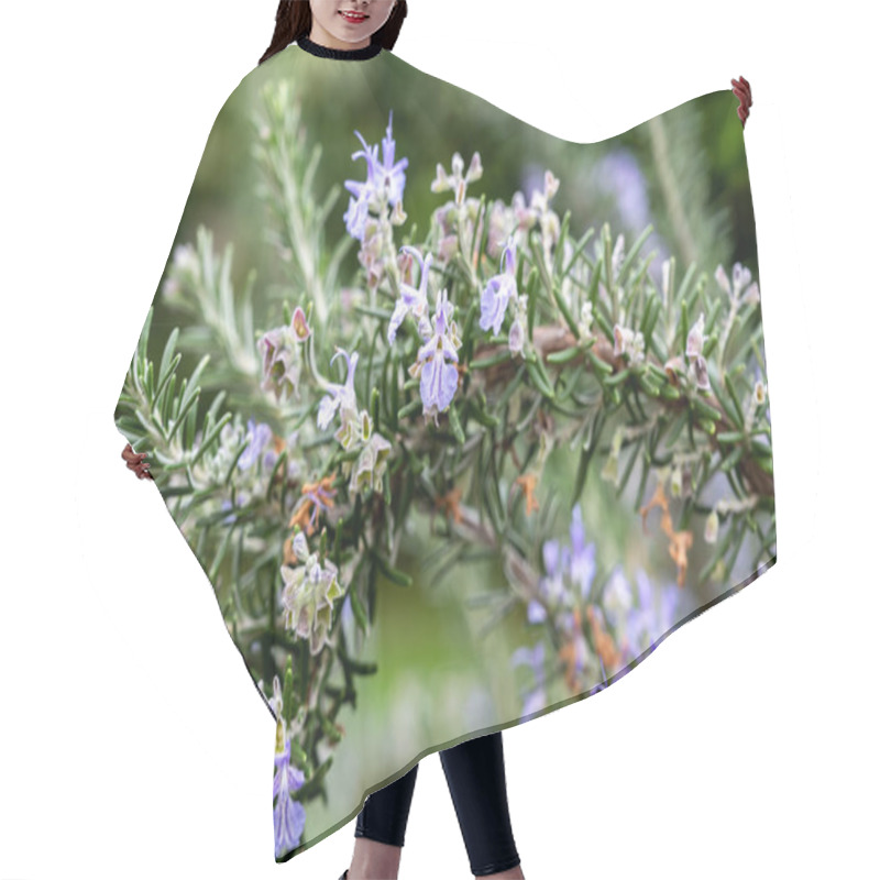 Personality  Botanical Collection, Blue Blossom Of Aromatic Kitchen Herb Rosemary Hair Cutting Cape