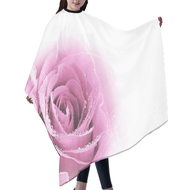 Personality  Beautiful Pink Rose Isolated On White Hair Cutting Cape