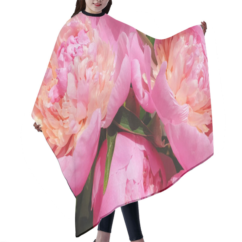 Personality  Pink Peony Rose Petals Peonies Background Hair Cutting Cape