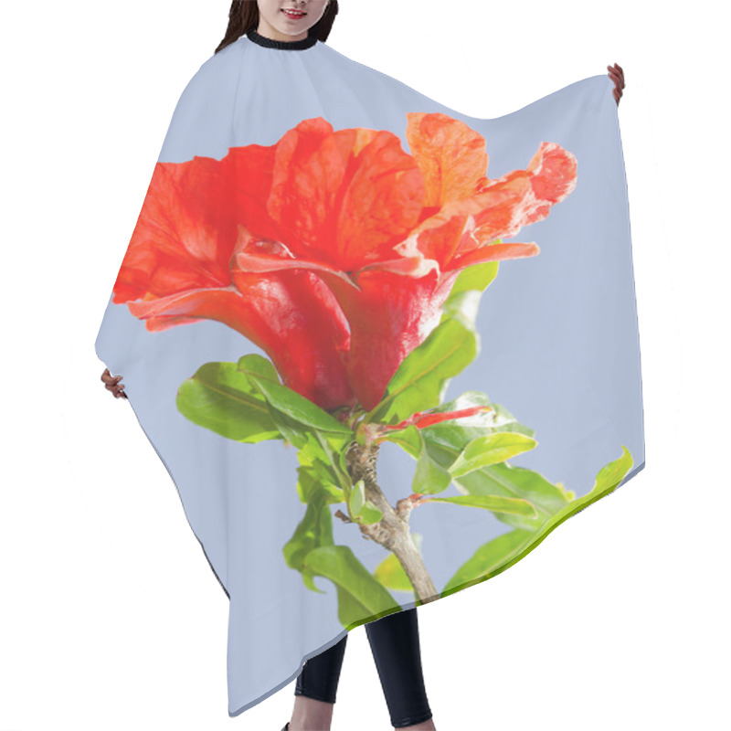 Personality  Bright Red Pomegranate Flowers Ovary And Petals Hair Cutting Cape