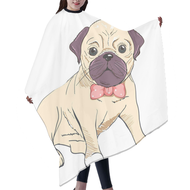 Personality  Bulldog In Glasses , Vector Illustration Hair Cutting Cape