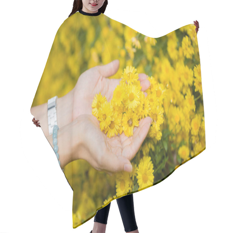 Personality  Female Hands Holding Flowers Of Chrysanthemum Plants In Natural Field Outdoors Hair Cutting Cape