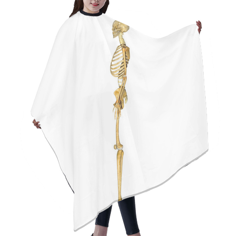 Personality  Skeleton Hair Cutting Cape