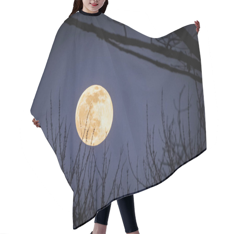 Personality  Big Yellow Moon Hair Cutting Cape