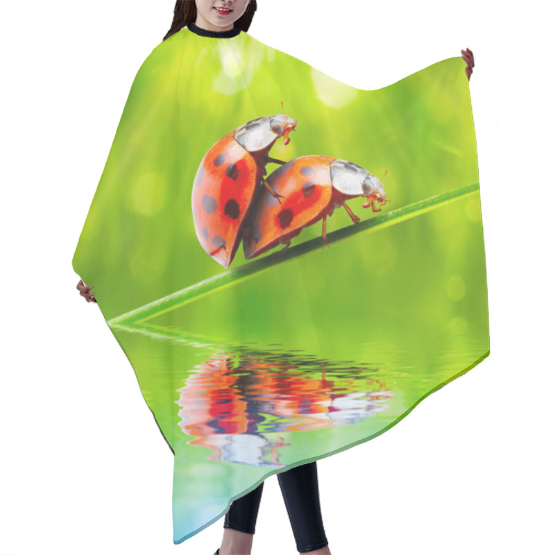 Personality  Love Making Ladybugs Couple Hair Cutting Cape