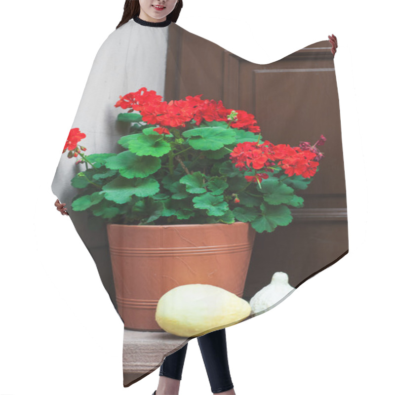 Personality  Pot With  Geranium Flowers Hair Cutting Cape