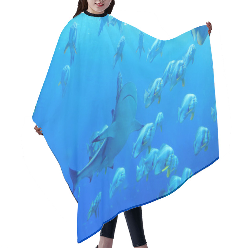 Personality  Shark And Fish Hair Cutting Cape