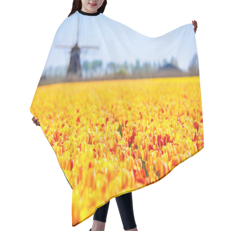 Personality  Tulip Fields And Windmill In Holland, Netherlands. Blooming Flower Fields With Red And Yellow Tulips In Dutch Countryside. Traditional Landscape With Colorful Flowers And Windmills. Hair Cutting Cape