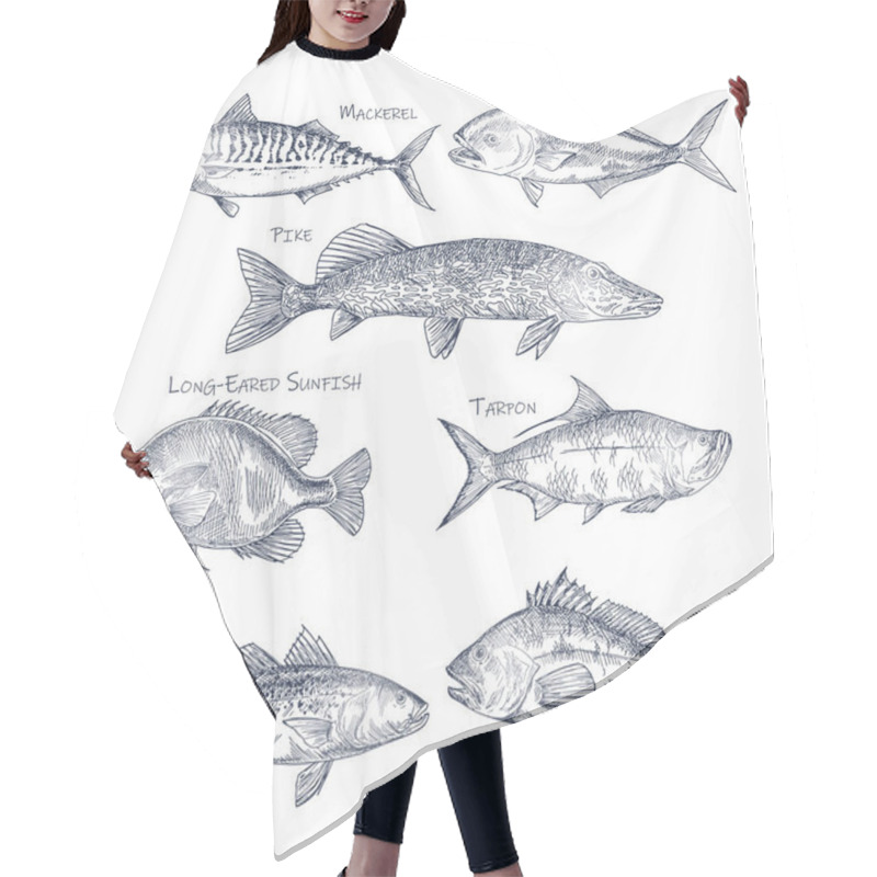 Personality  Side View On Ocean And Sea Fish Sketch. Fishing Hair Cutting Cape