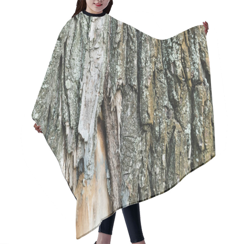 Personality  Close Up View Of Rough Bark Of Aging Tree, Ecology Concept Hair Cutting Cape