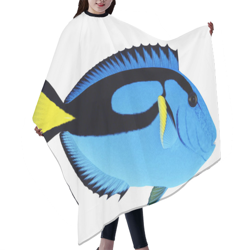 Personality  Blue Tang Fish Hair Cutting Cape