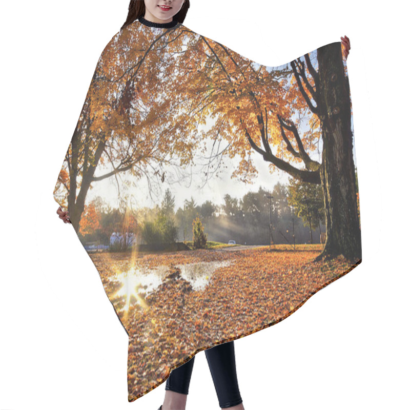 Personality  Sunrise With Lens-flare And Maple Tree Leaves Covered The Ground  Hair Cutting Cape