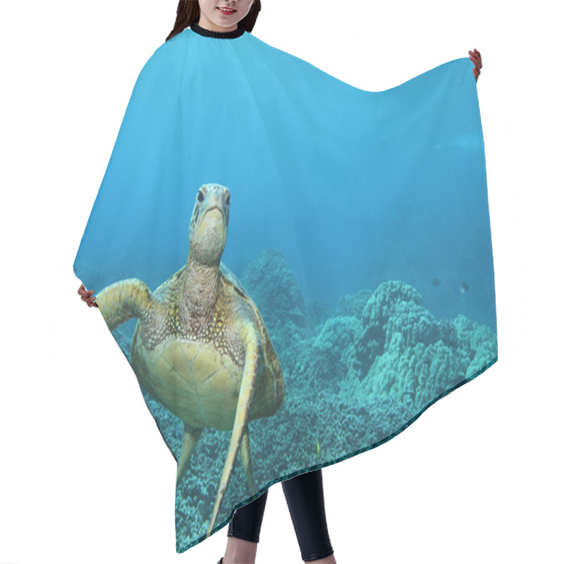 Personality  Green Sea Turtle Hair Cutting Cape