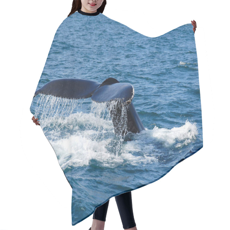 Personality  Humpback Whale Off Iceland Hair Cutting Cape