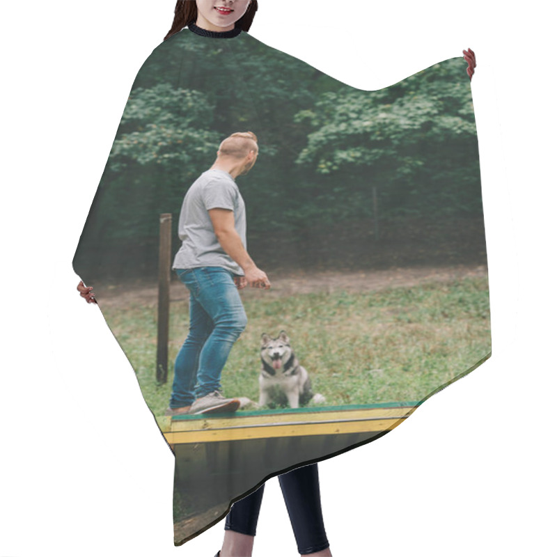 Personality  Cynologist With Siberian Husky On Dog Walk Obstacle In Obedience Class Hair Cutting Cape