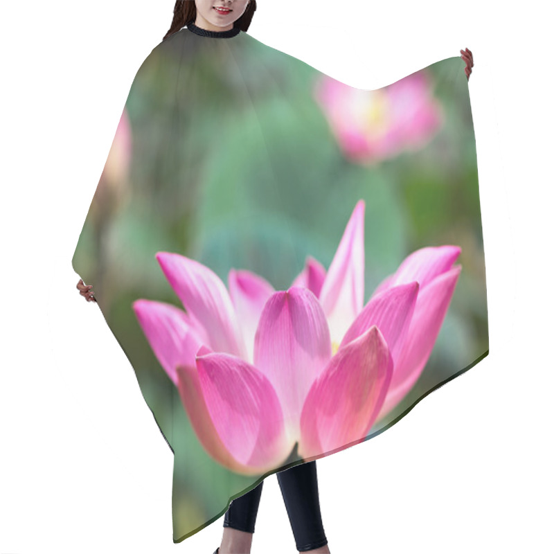 Personality  Lotus Flower Hair Cutting Cape