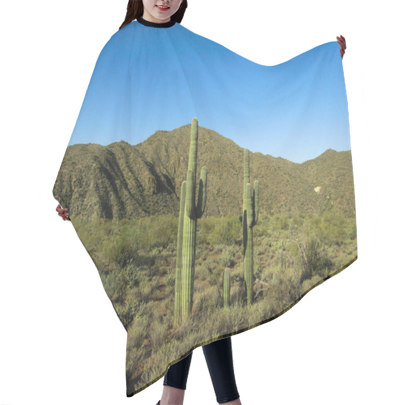 Personality  Saguaro Cactus In Arizona Desert Hair Cutting Cape