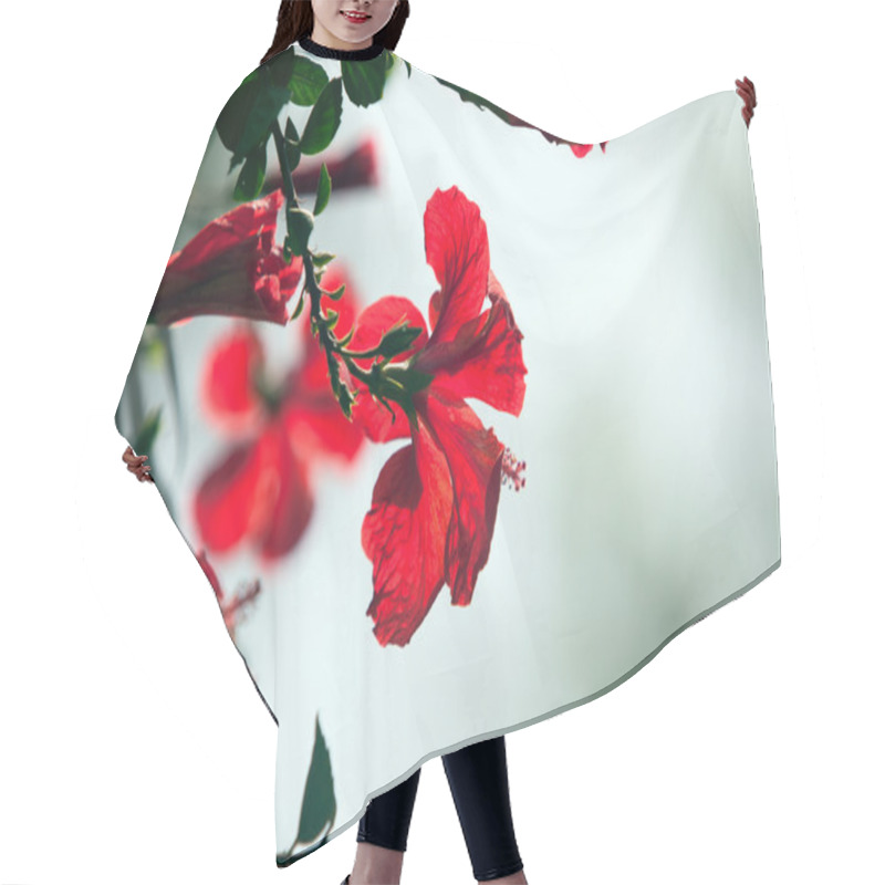 Personality  Hibiscus Flower Hair Cutting Cape