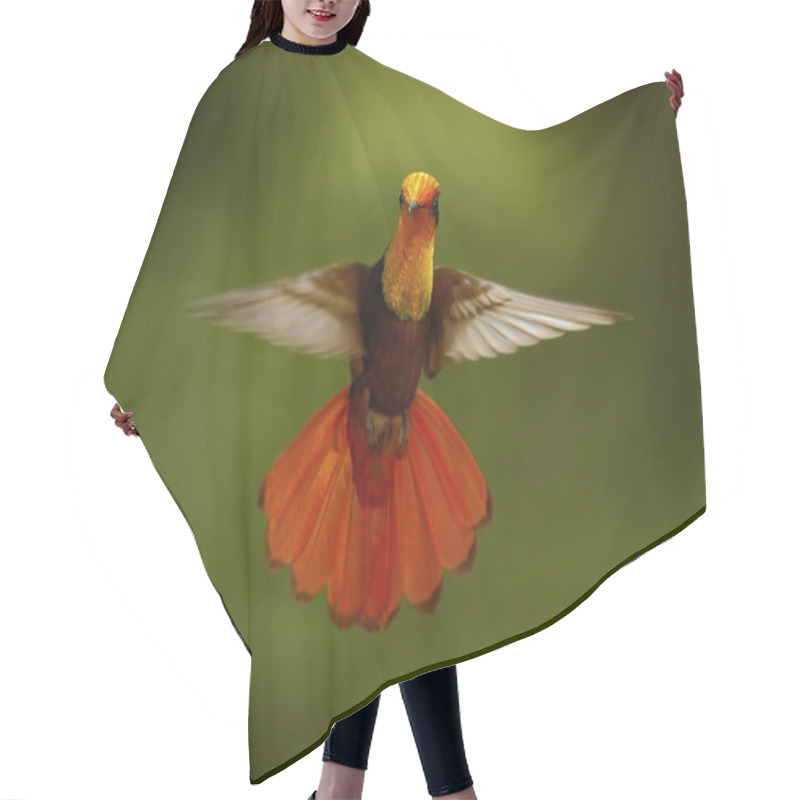 Personality  Red And Yellow Ruby-Topaz Hummingbird Hair Cutting Cape