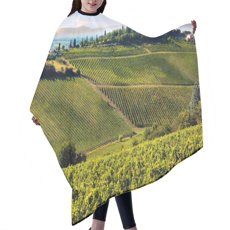 Personality  Hills Of Tuscany With Vineyard In The Chianti Region Hair Cutting Cape