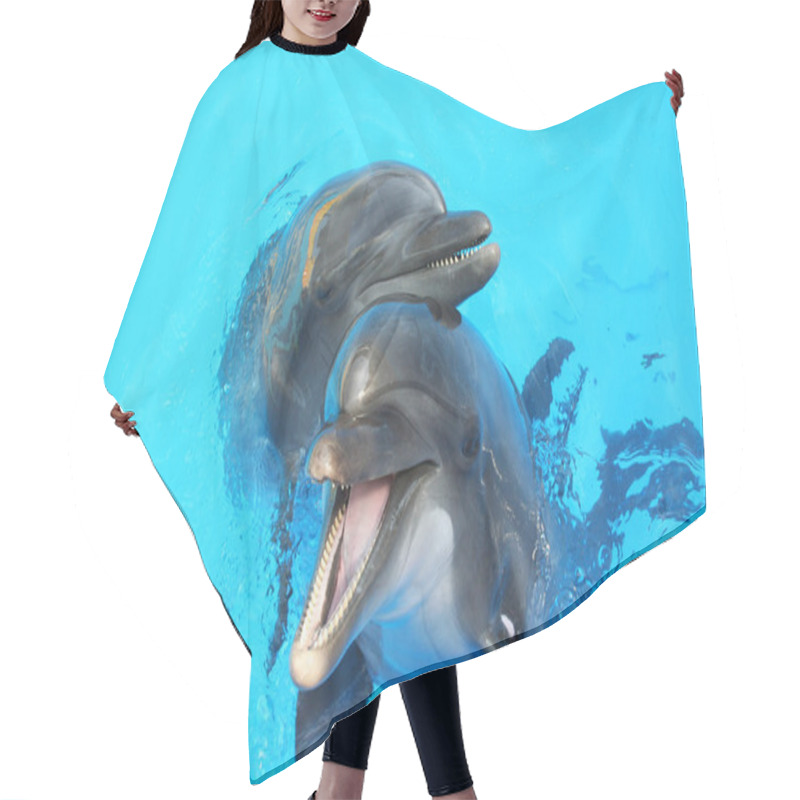 Personality  Two Dolphin Swimming In The Pool Hair Cutting Cape