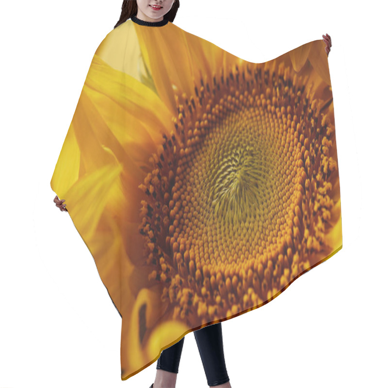 Personality  Beautiful Texture With Yellow Sunflower, Close Up Hair Cutting Cape