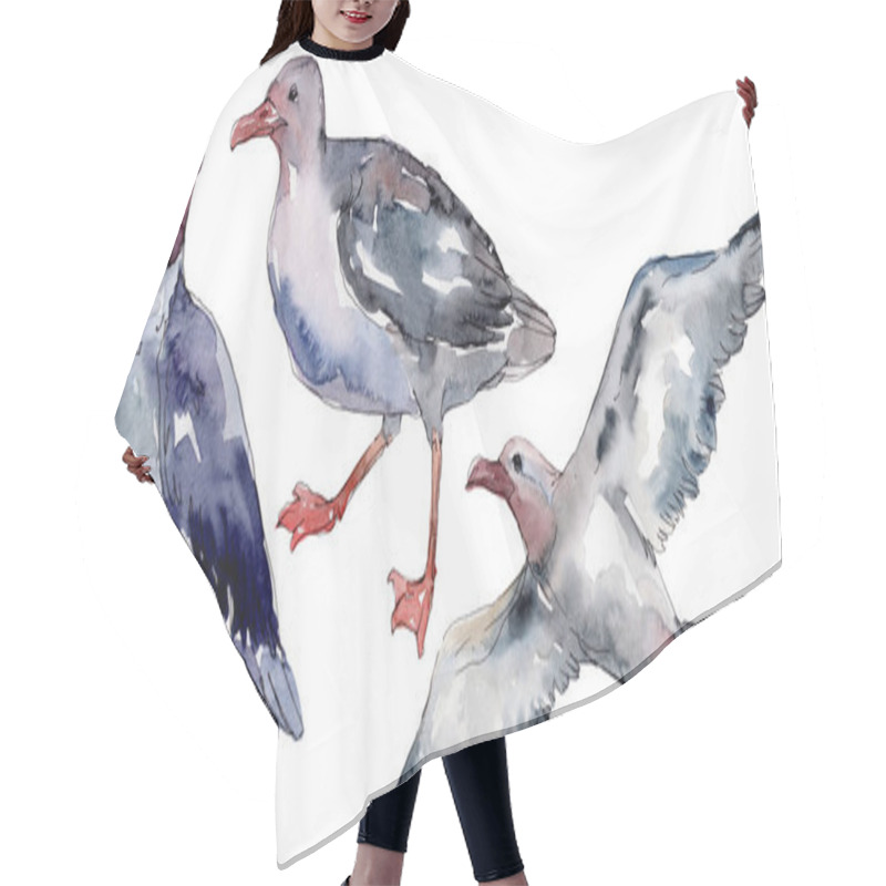 Personality  Sky Bird Seagull In A Wildlife. Wild Freedom, Bird With A Flying Wings. Watercolor Background Illustration Set. Watercolour Drawing Fashion Aquarelle Isolated. Isolated Gull Illustration Element. Hair Cutting Cape