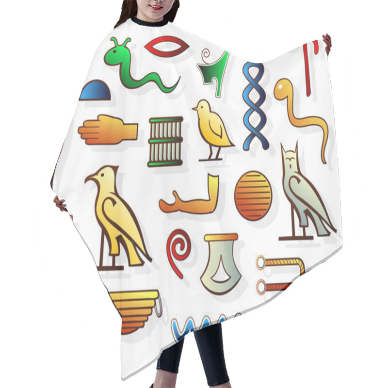 Personality  Egyptian Hieroglyphs Hair Cutting Cape