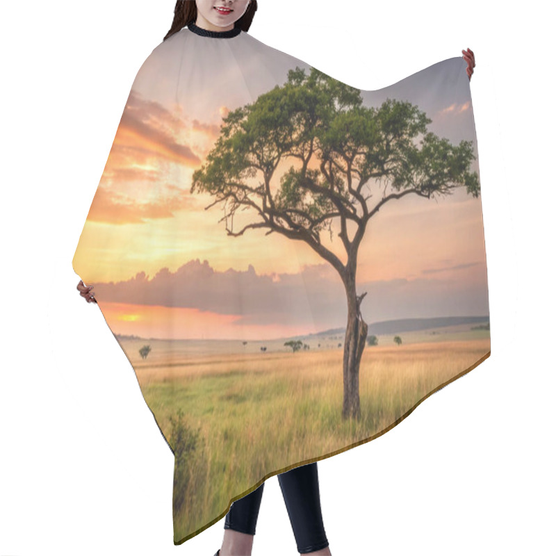 Personality  A Solitary Tree In A Vast Meadow At Sunset Hair Cutting Cape