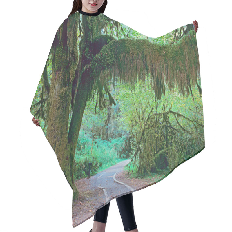 Personality  Walkway In Olympic National Park Hair Cutting Cape