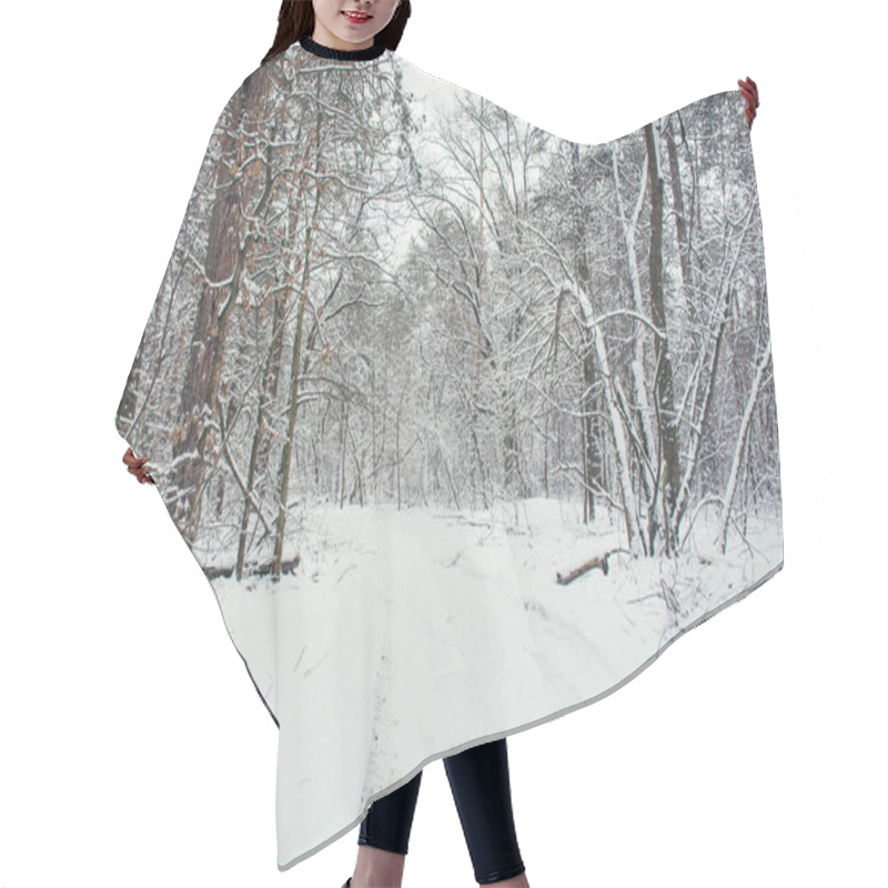 Personality  Road And Trees In Snowy Forest In Winter Hair Cutting Cape