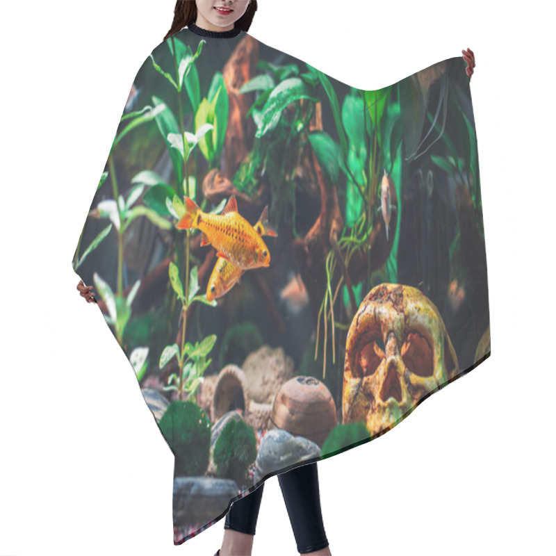 Personality  A Great Jungle Planted Aquarium Hair Cutting Cape