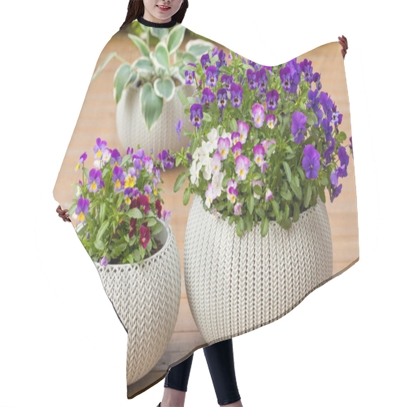 Personality  Beautiful Pansy Summer Flowers In Flowerpots In Garden Hair Cutting Cape