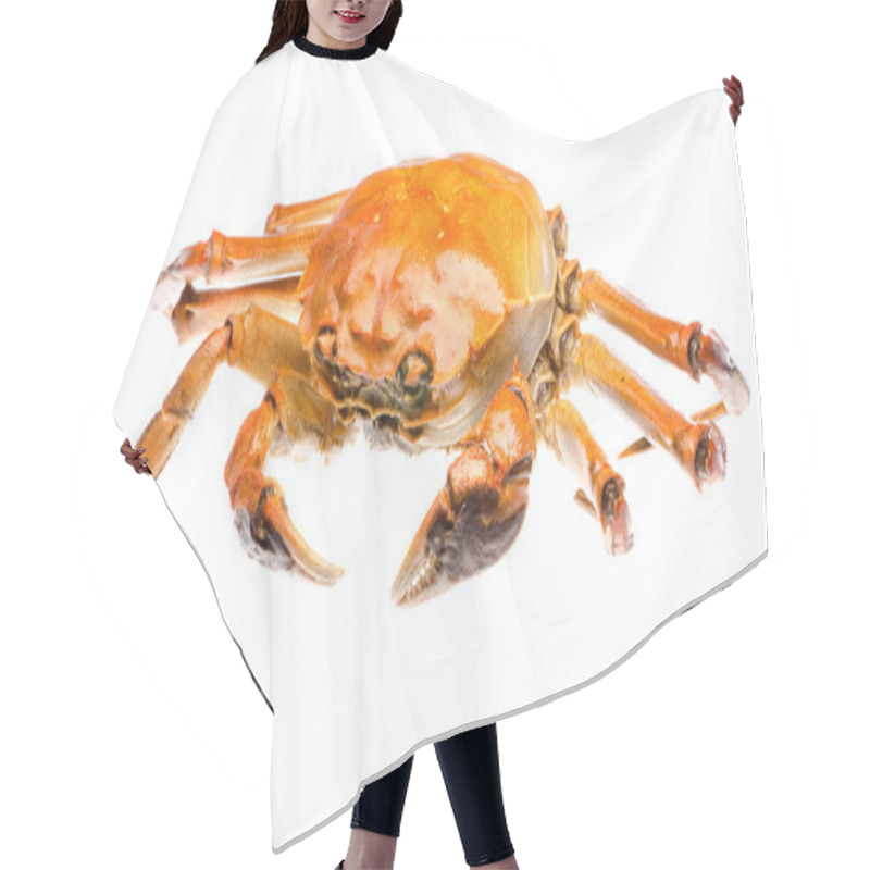 Personality  Red Crab Hair Cutting Cape