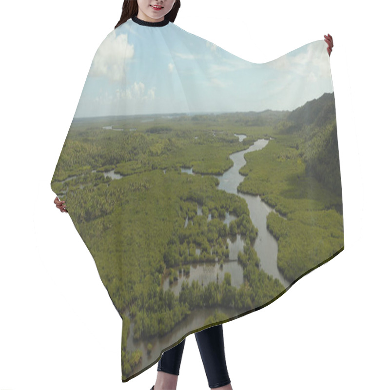 Personality  Aerial View Of Mangrove Forest And River. Hair Cutting Cape