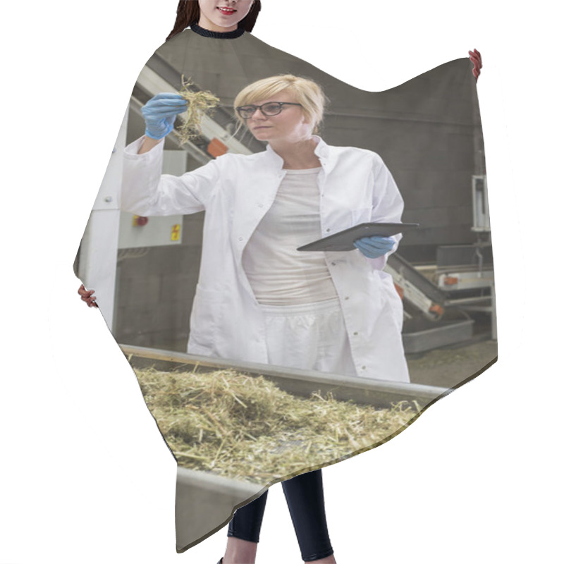 Personality  Scientist Observing Dry CBD Hemp Plants By The Sorting Machine In Factory And Taking Notes In Tablet Hair Cutting Cape