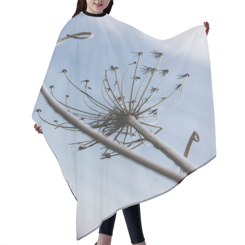 Personality  Dandelion Hair Cutting Cape