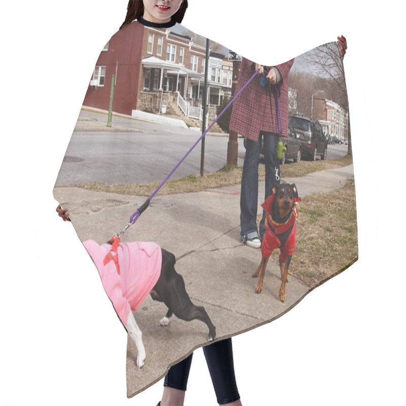 Personality  Bad Dogs On Leashes Hair Cutting Cape