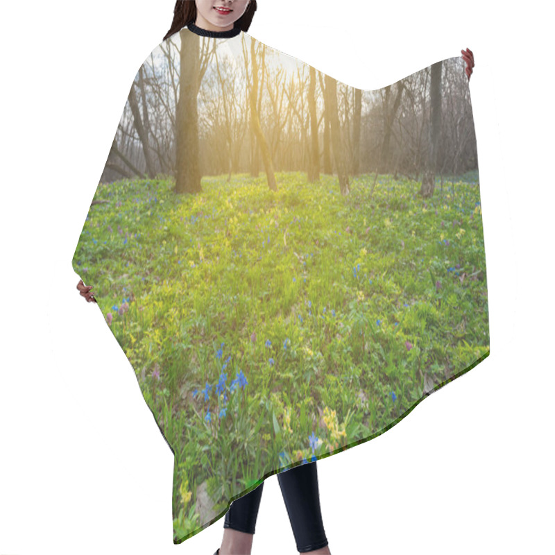 Personality  Beautiful Spring Forest Glade With Flowers Hair Cutting Cape