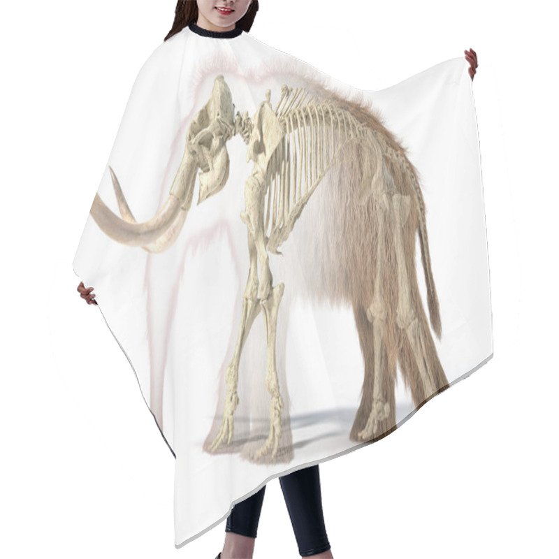 Personality  Woolly Mammoth With Skeleton, Viewed From A Side. Hair Cutting Cape