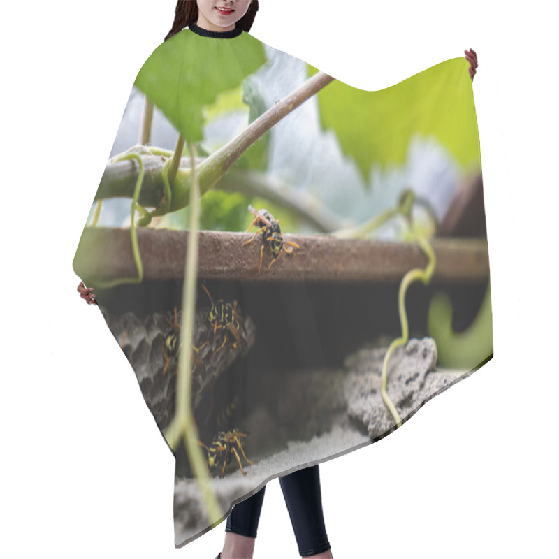 Personality  Close Up Photo Of Hornet Nest Between Vine And Stones Hair Cutting Cape