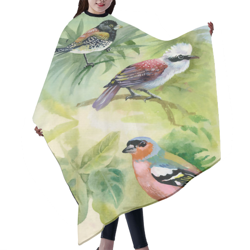 Personality  Exotic Birds On Branches Hair Cutting Cape