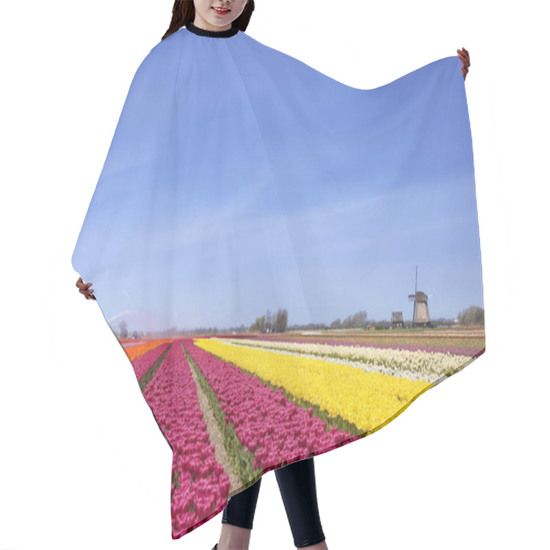 Personality  Tulips And Windmill On A Sunny Day In The Netherlands Hair Cutting Cape