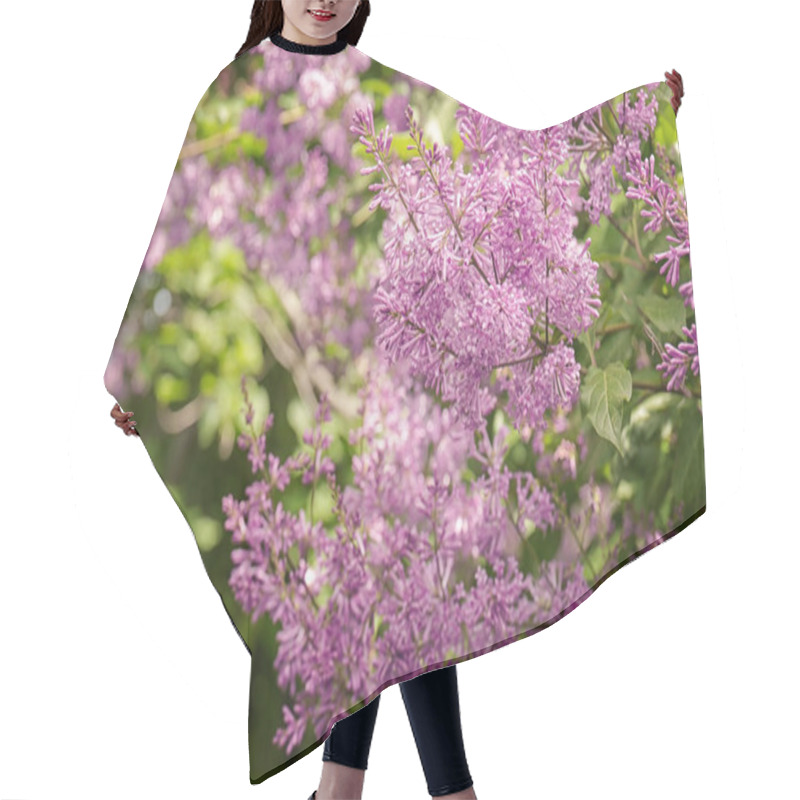 Personality  Beautiful Lilac Branch Hair Cutting Cape